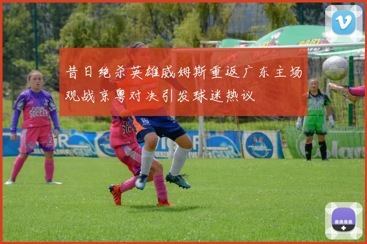 昔日绝杀英雄威姆斯重返广东主场观战京粤对决引发球迷热议