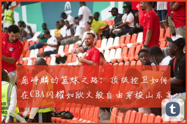 庞峥麟的篮球之路：顶级控卫如何在CBA闪耀如欧文般自由穿梭山东高速