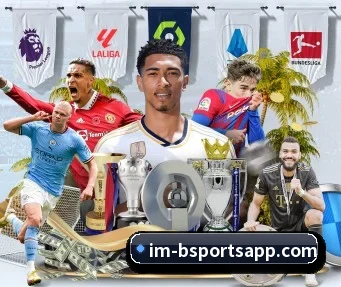 必一运动 APP - BSports